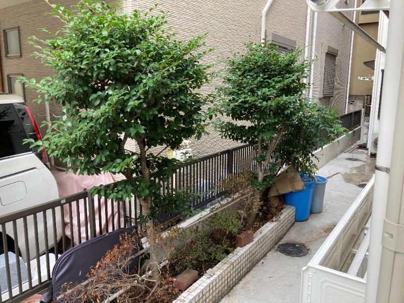 コーポ巣鴨　A棟1階 部屋その他