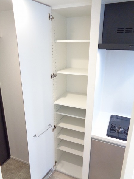 ＧＥＮＯＶＩＡ西川口203号室 その他