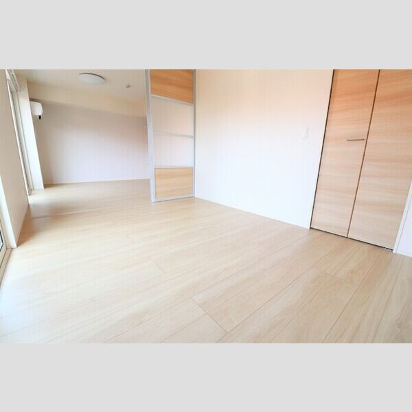 ロイジェントパークス草加手代　B202号室 洋室