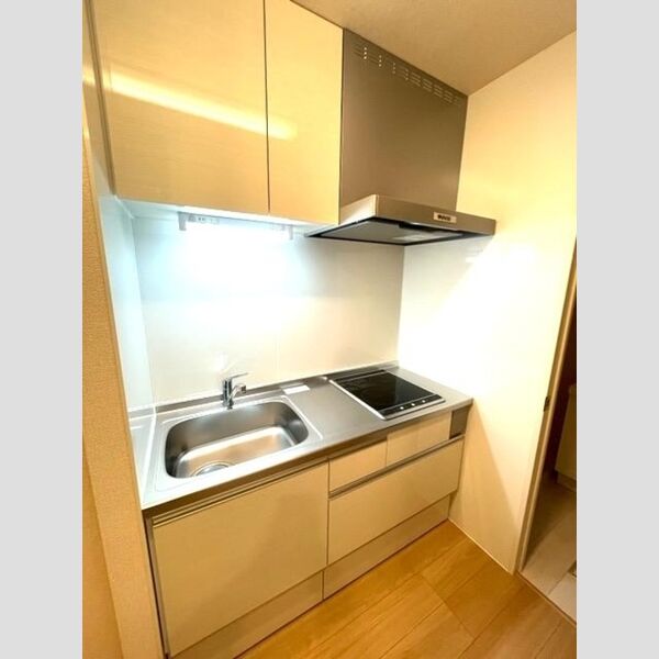 プリマベーラ(富士見)103号室 システムキッチン