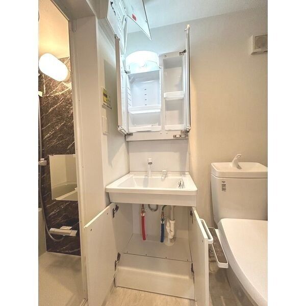 FOREST IWATSUKI205号室 洗面