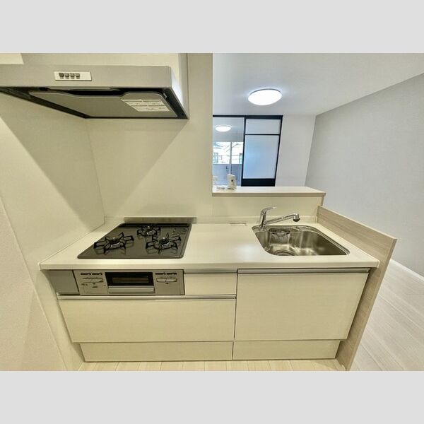 ディーシンシア202号室 システムキッチン