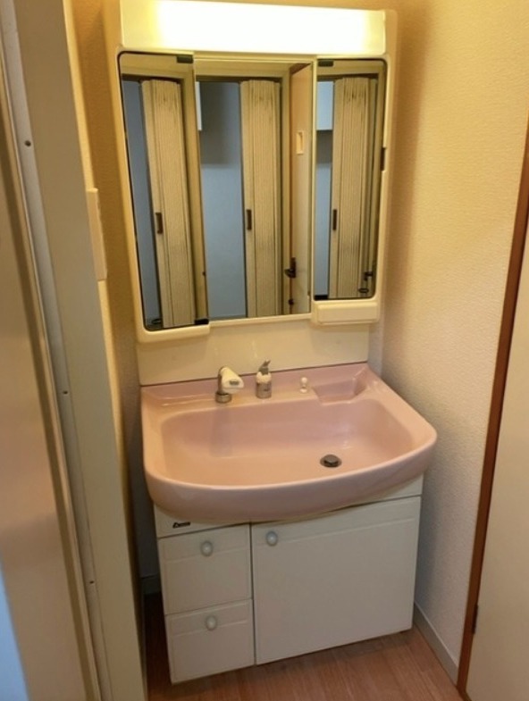 メゾン東小岩Ⅱ3階 洗面