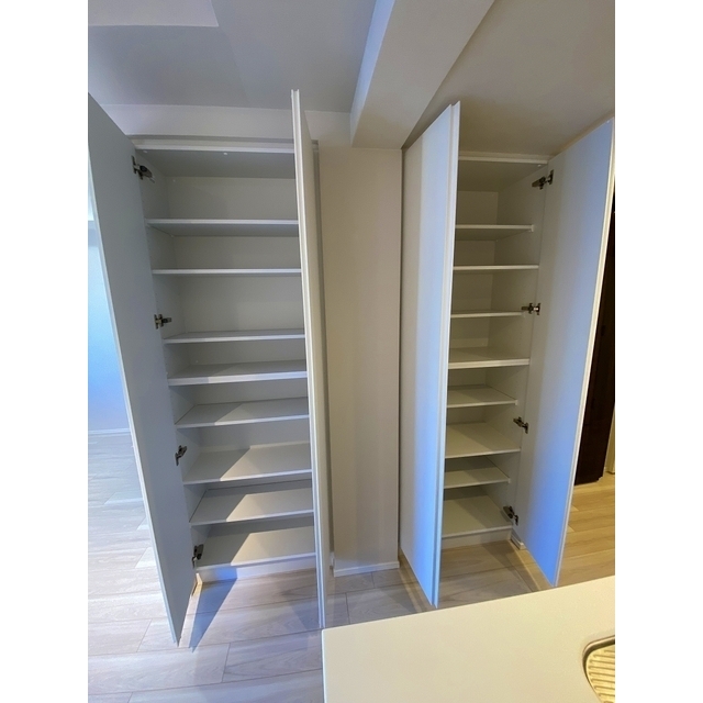 Ｌａ　Ｐｅｒｌａ　ＪｉｙｕｇａｏｋａⅡ203号室 リビング収納　2026年1月撮影