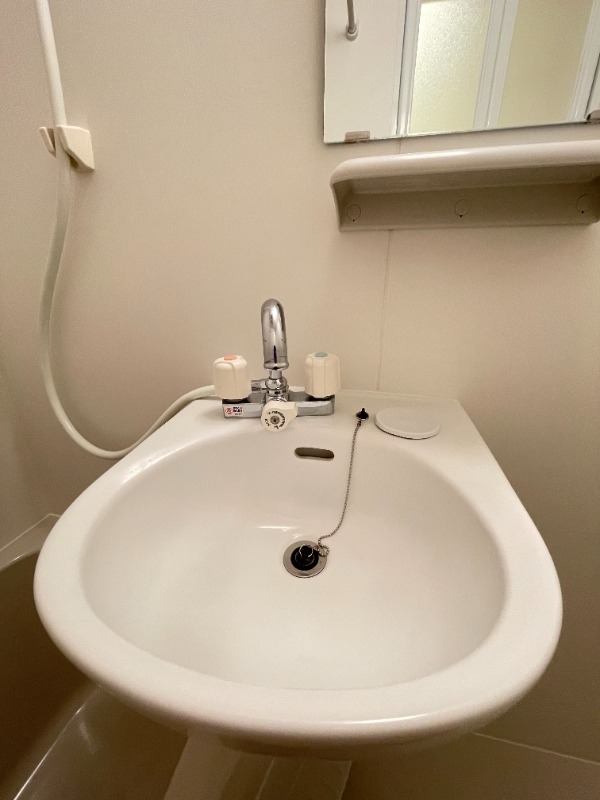 テラス久が原2階 洗面