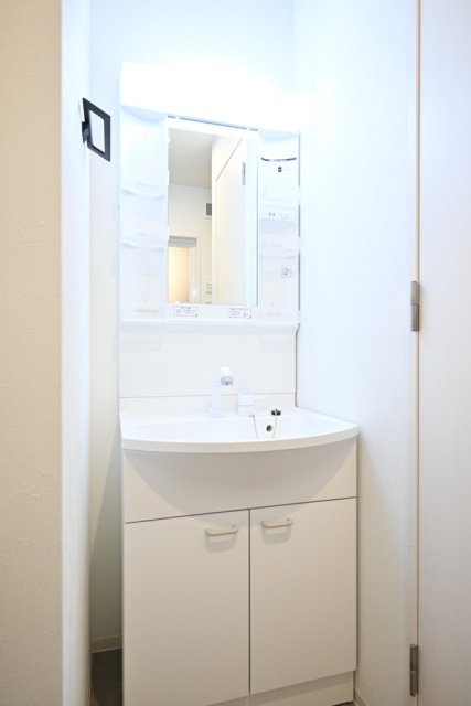 フェリデンシア御嶽山4階 洗面