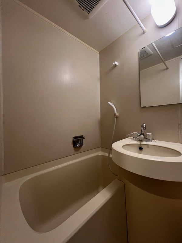 ベルドミール王子5階 洗面