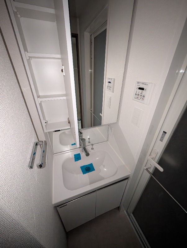 CREAL門前仲町Ⅱ5階 洗面