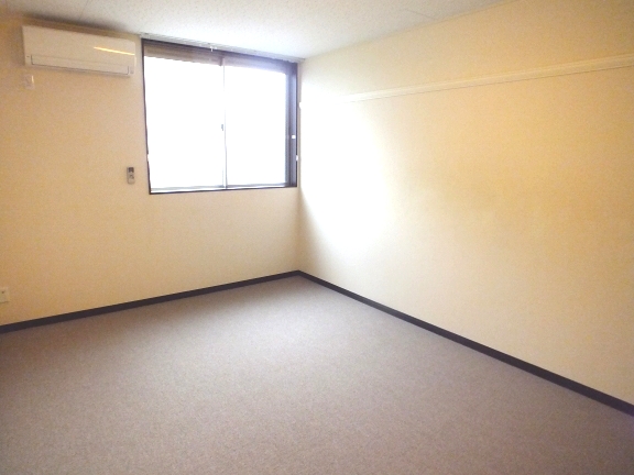 レオネクストサンハイツＤ207号室 2Fはじゅうたん