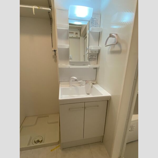 アビテ西新小岩Ⅱ203号室 独立洗面化粧台