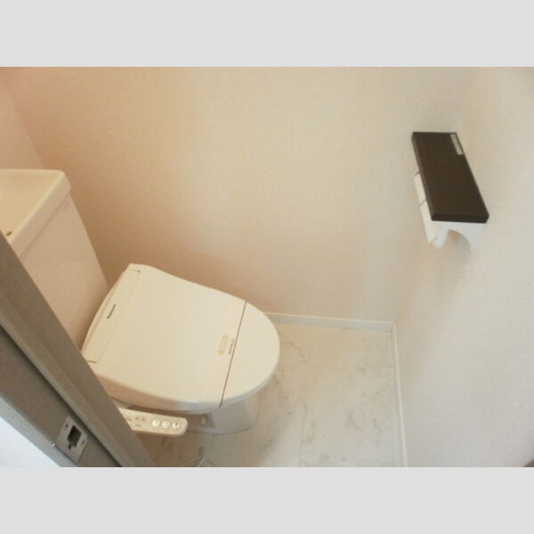 ラ・フランセ　参番館201号室 ペーパーホルダー交換済み!スマホや小物が置けます♪