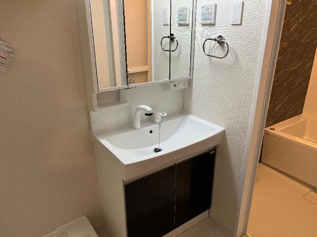 ナチュラル　ライズ201号室 洗髪洗面化粧台（イメージ）