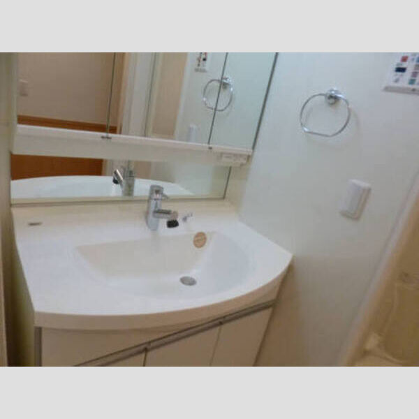 ロイヤルパレス市川305号室 洗面台