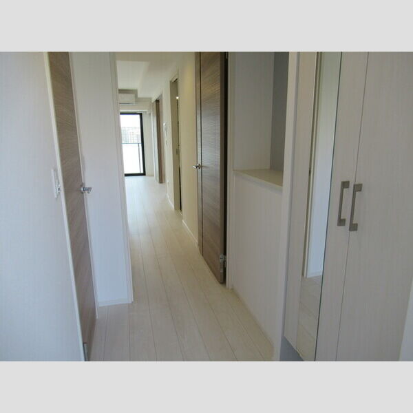 BELTS SHINJUKU　レジデンス1001号室 玄関