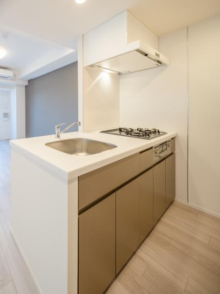 Ｂｒｉｌｌｉａ　ｉｓｔ　浅草5階 キッチン