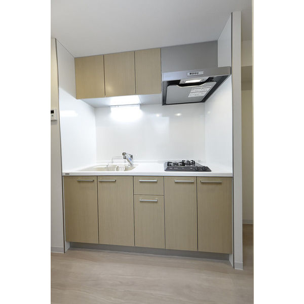 クリオ　ラモード学芸大学Ⅱ0304号室 キッチン