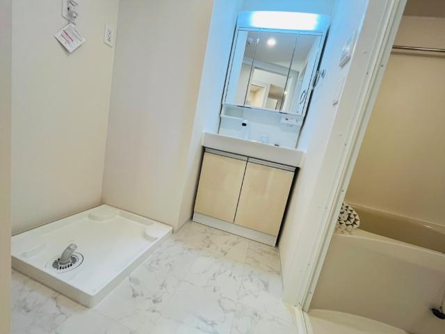 ＤＩＭＯＲＡ北千住　-ディモーラ北千住-401号室 洗面