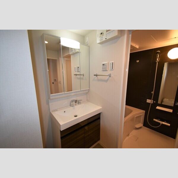 メゾン・ド・シルキー307号室 洗面