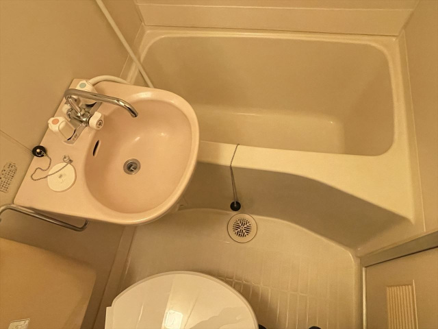 スカイコート横浜山手504号室 洗面