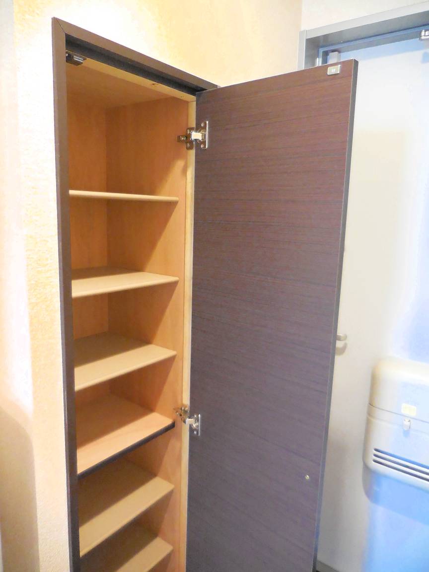 レオネクストグランツ104号室 シューズボックス