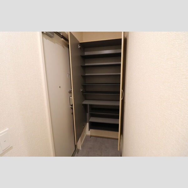 ノーブル浦和美園202号室 玄関　シューズボックス