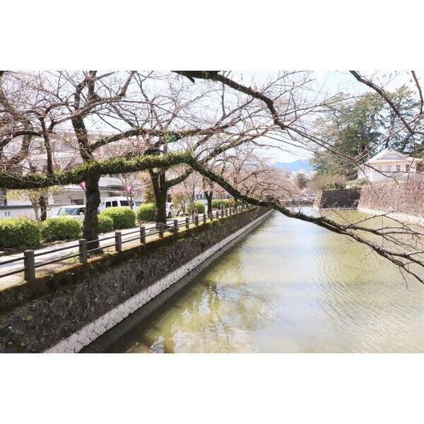 フォレストリータウン西小路 周辺