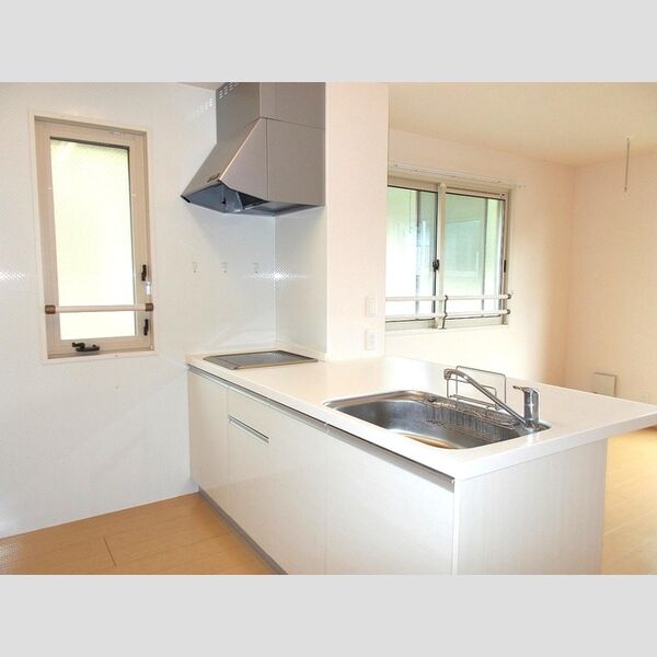 スプリングハウス 対面システムキッチン