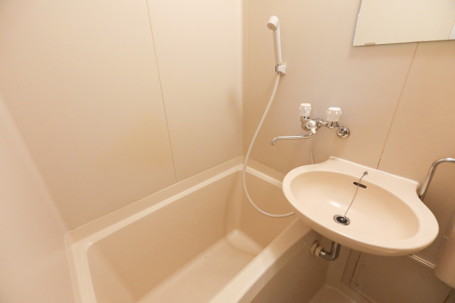 スカイピア阿佐ケ谷203号室 洗面