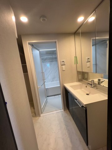 DIPS東十条駅前RESIDENCE801号室 洗面