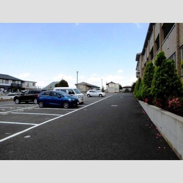 アヴェニール志津　A303号室 駐車場