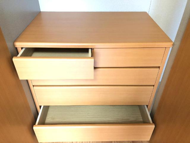 サンライズ・ガーデン201号室 クローゼット内箪笥