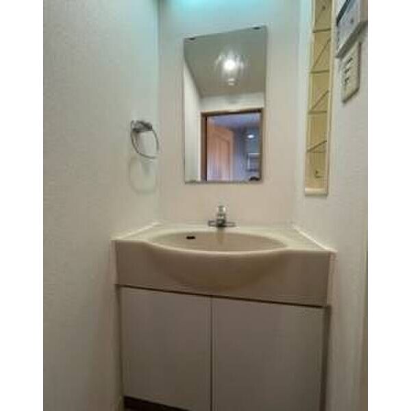 メゾン・ド・ヴィレ高円寺0305号室 洗面