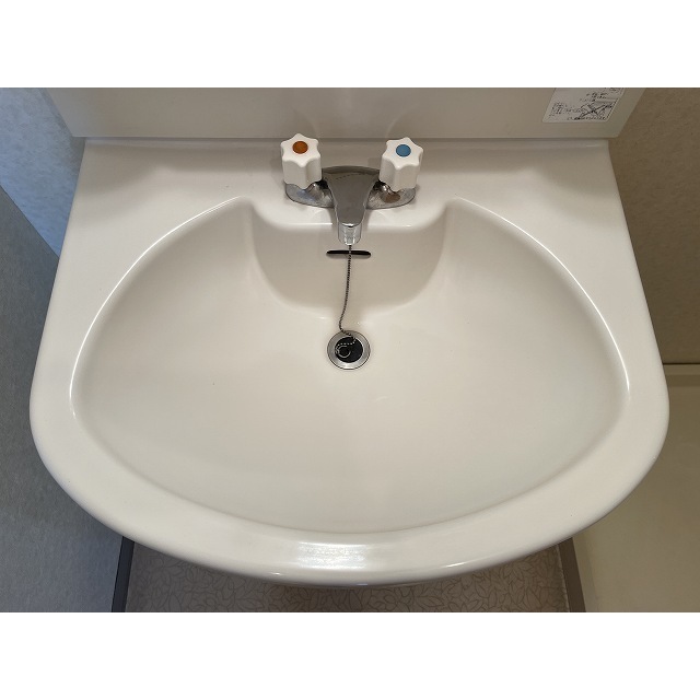 ネスト鷹番0101号室 独立洗面台