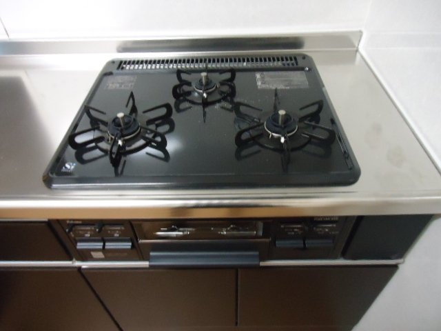 グリーンヴィレッジ102号室 キッチン