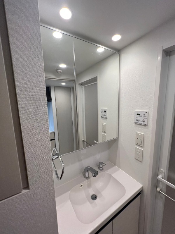TFレジデンス川崎殿町WEST 洗面