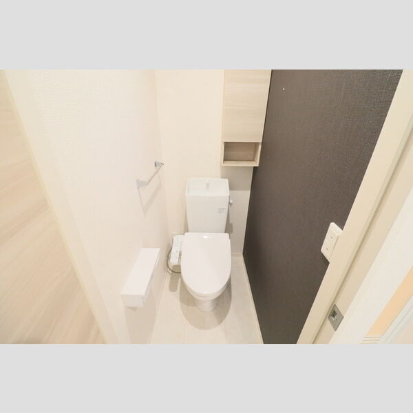 D Paina 中野島Ⅱ105号室 トイレ