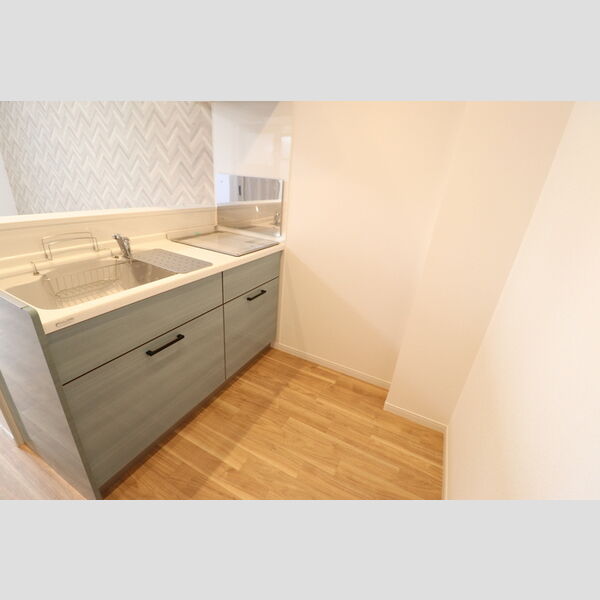 ルミナス所沢201号室 システムキッチン