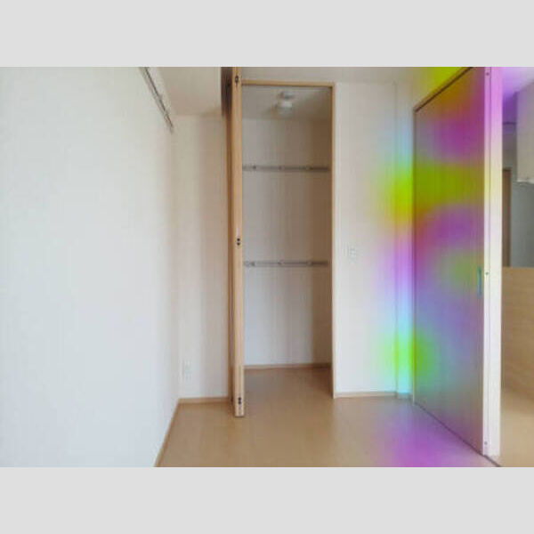 ウェールス久地 201 洋室 ワンステップクローゼット