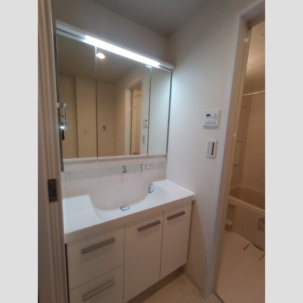 カスタリア北上野1004号室 洗面