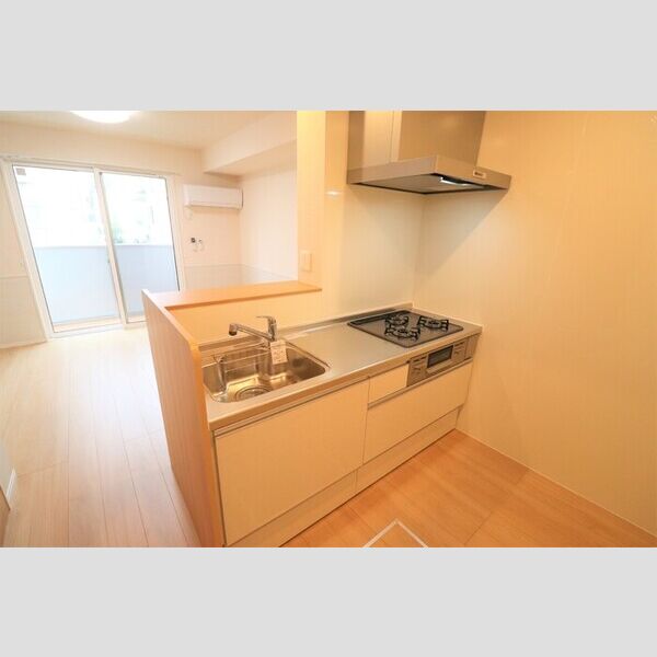 Delasse Kowa Ⅱ106号室 システムキッチン