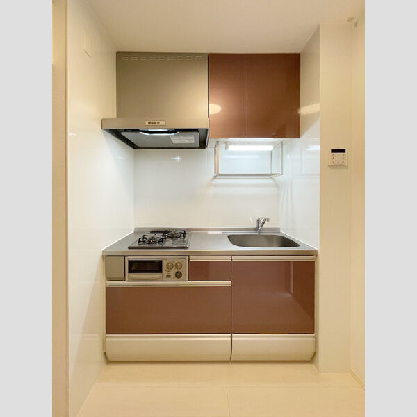 アンリシール・レイク102号室 システムキッチン