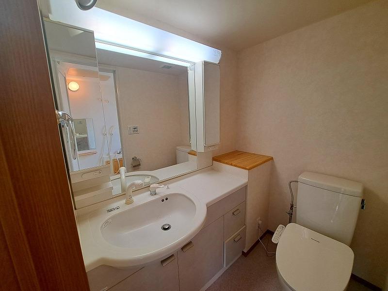 トレジャー霞ヶ関2階 洗面