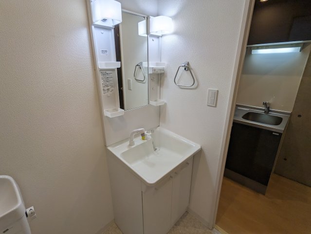 レガリア下丸子 洗面