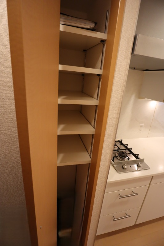 カテリーナ文京湯島 下足入れ