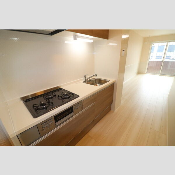 グランチェスタ浦和美園306号室 システムキッチン