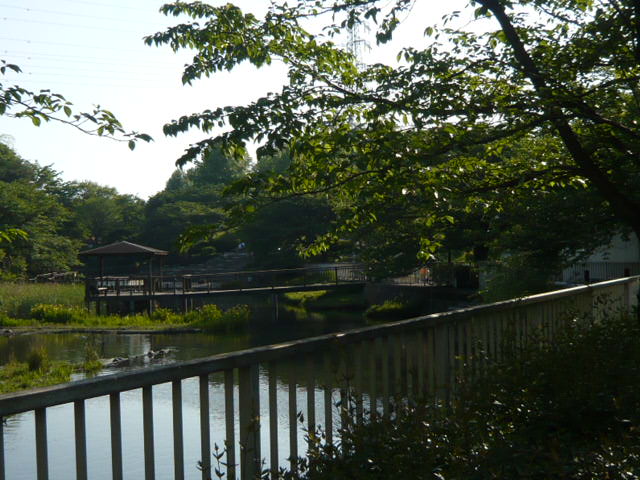 ヨネッサ 岸根公園まで200ｍ