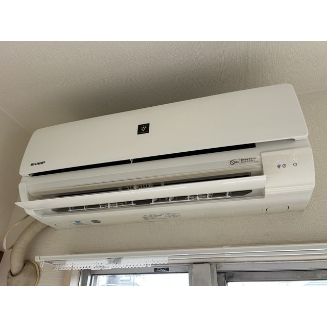 レグルス松戸B棟203号室 部屋その他