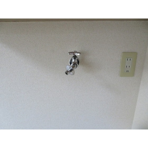 アレックスビル0802号室 室内洗濯機置き場