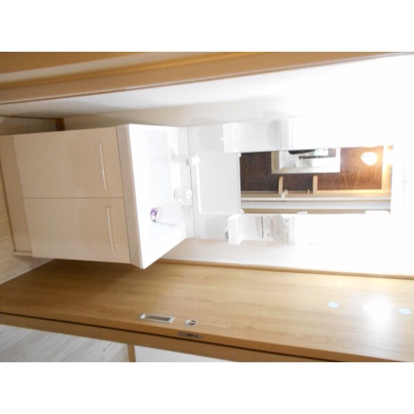 セカンドダウン0201号室 洗面