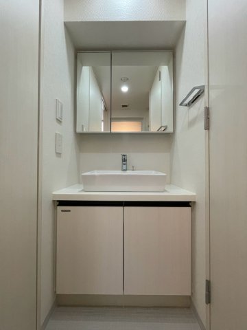 DIPS赤羽駅前803号室 洗面